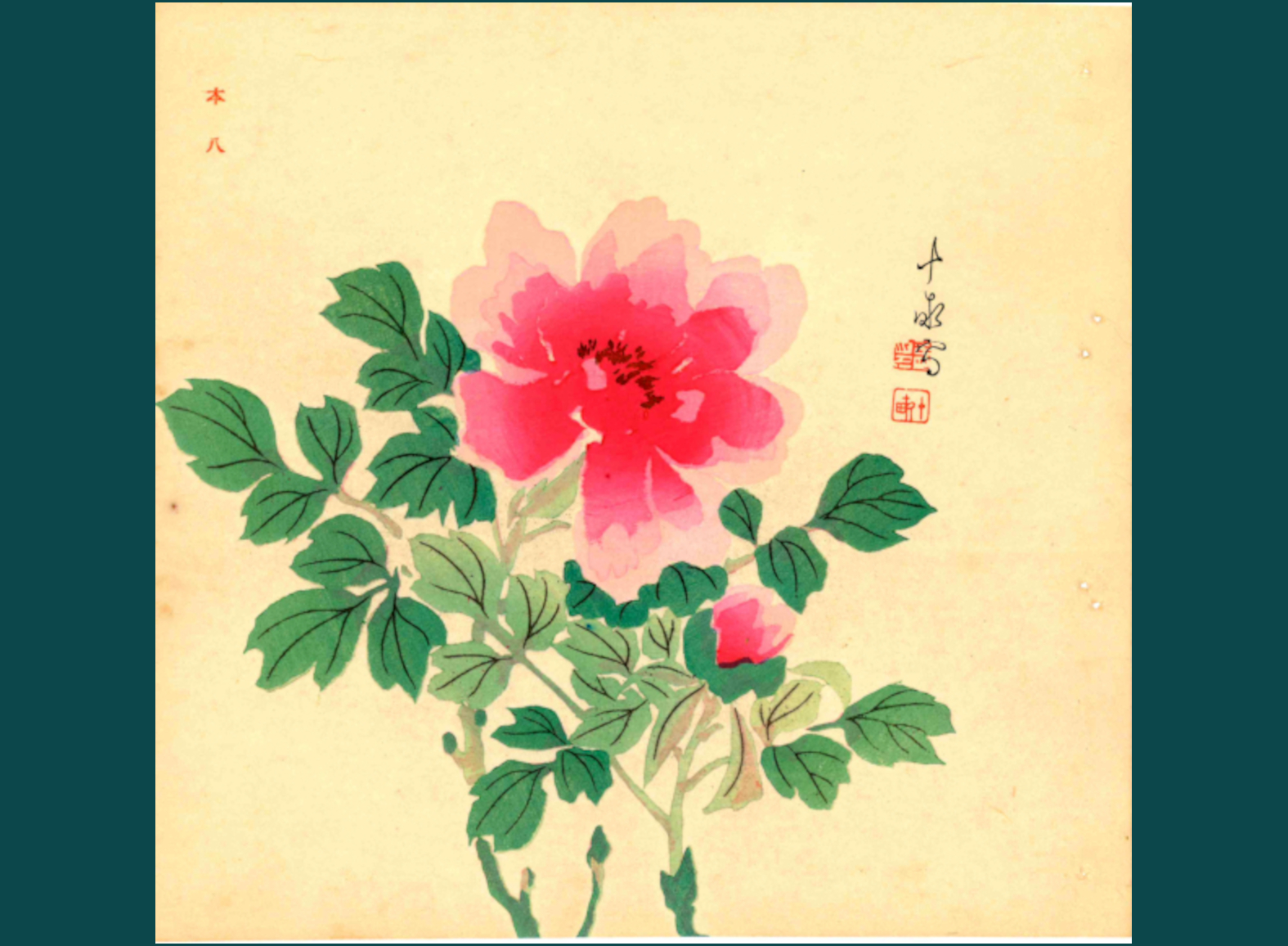 PEONIA