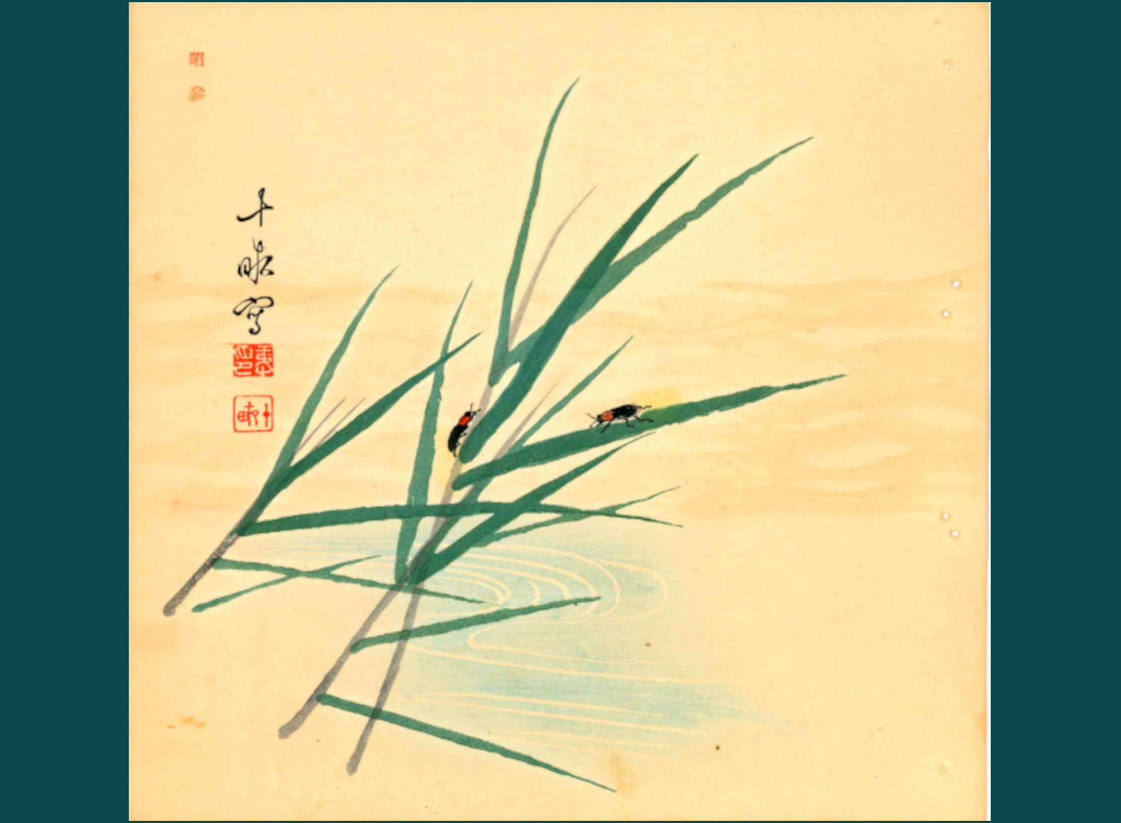 HOTARU - LUCCIOLE