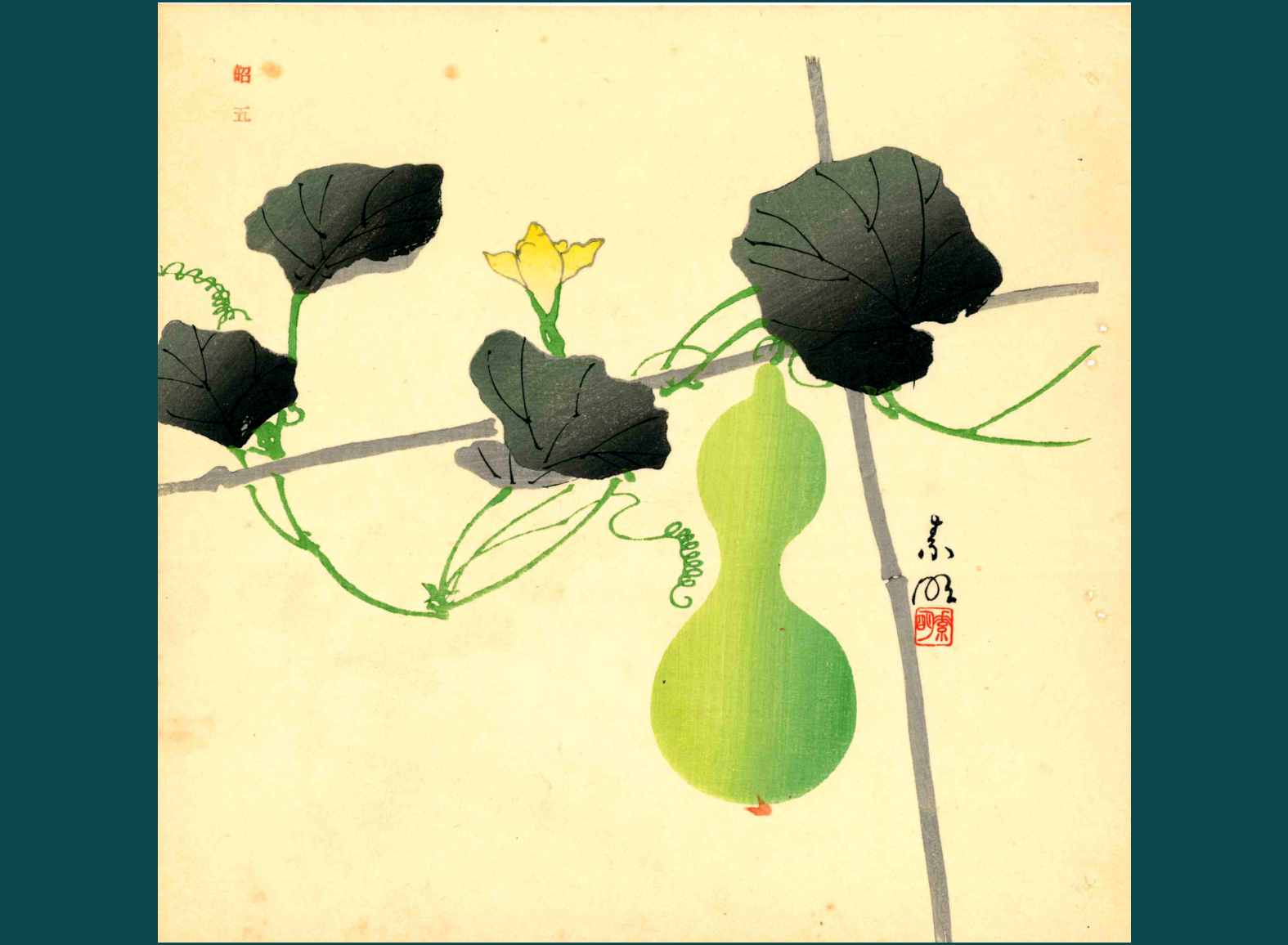 HYOTAN - ZUCCA