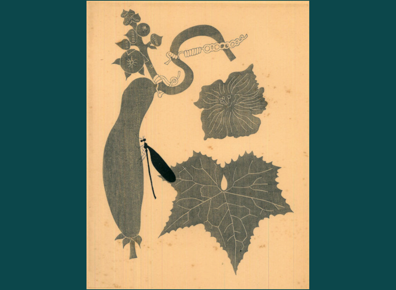 E CHIMA - LUFFA