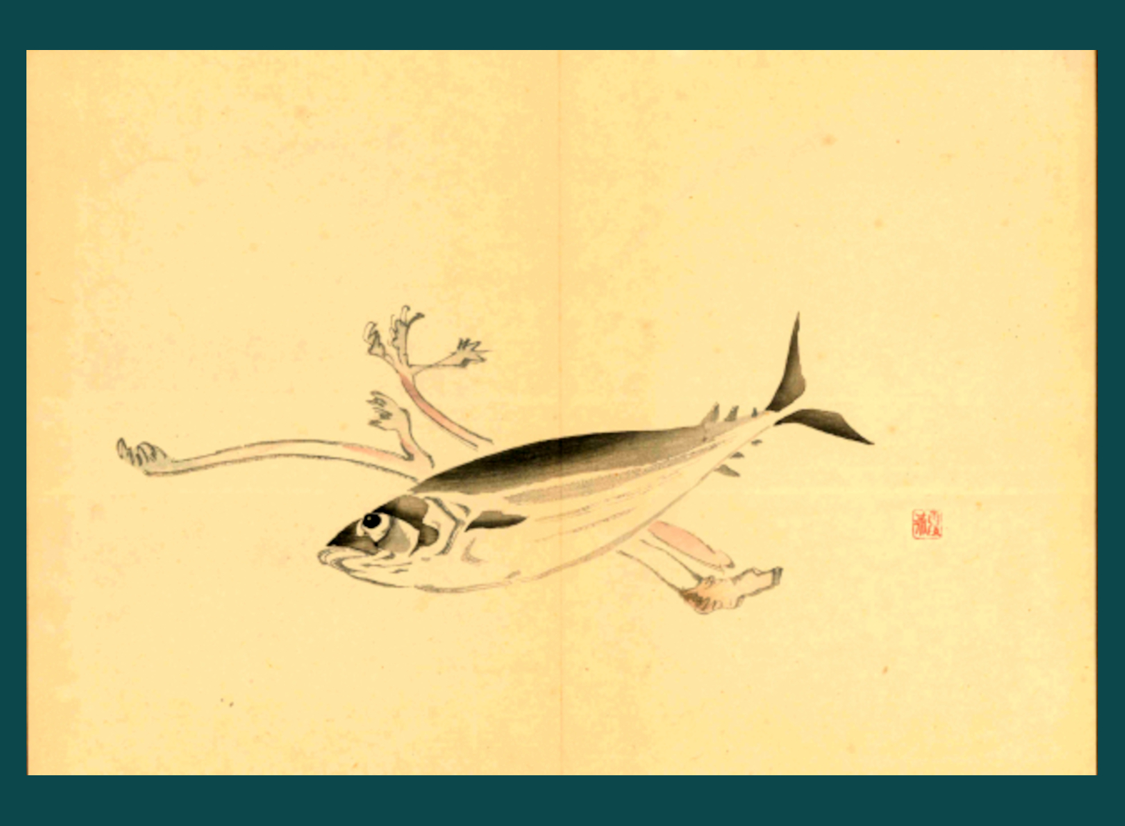 KATSUO E WASABI