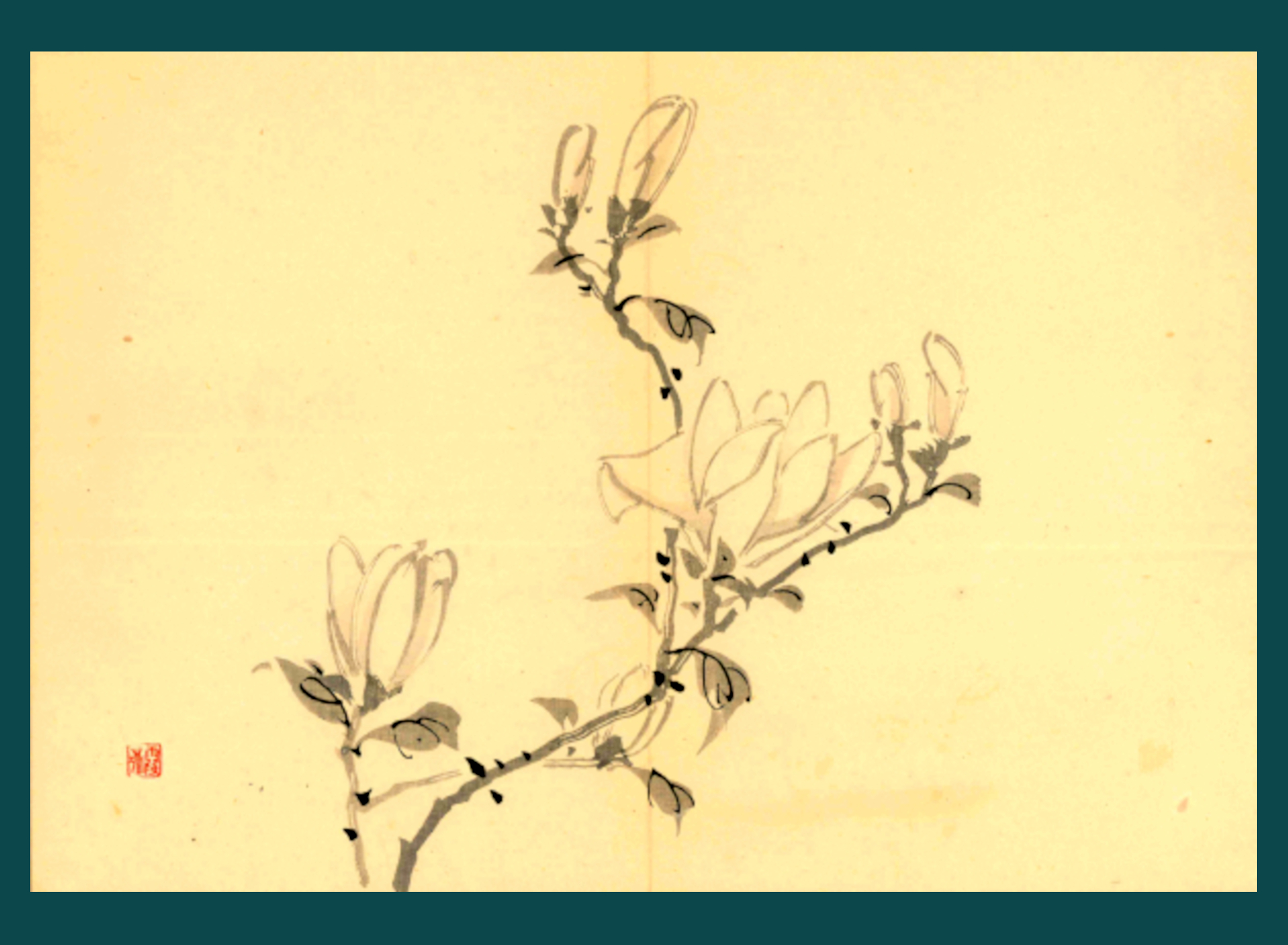 MAGNOLIA