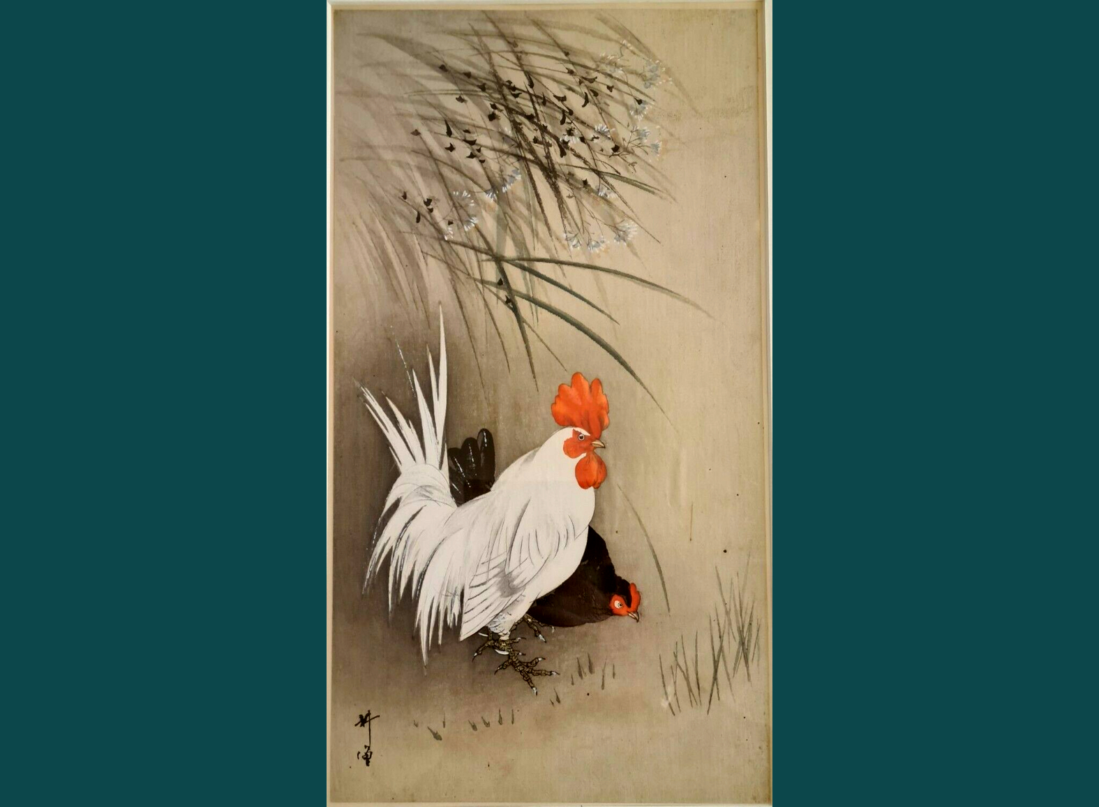 GALLO E GALLINA