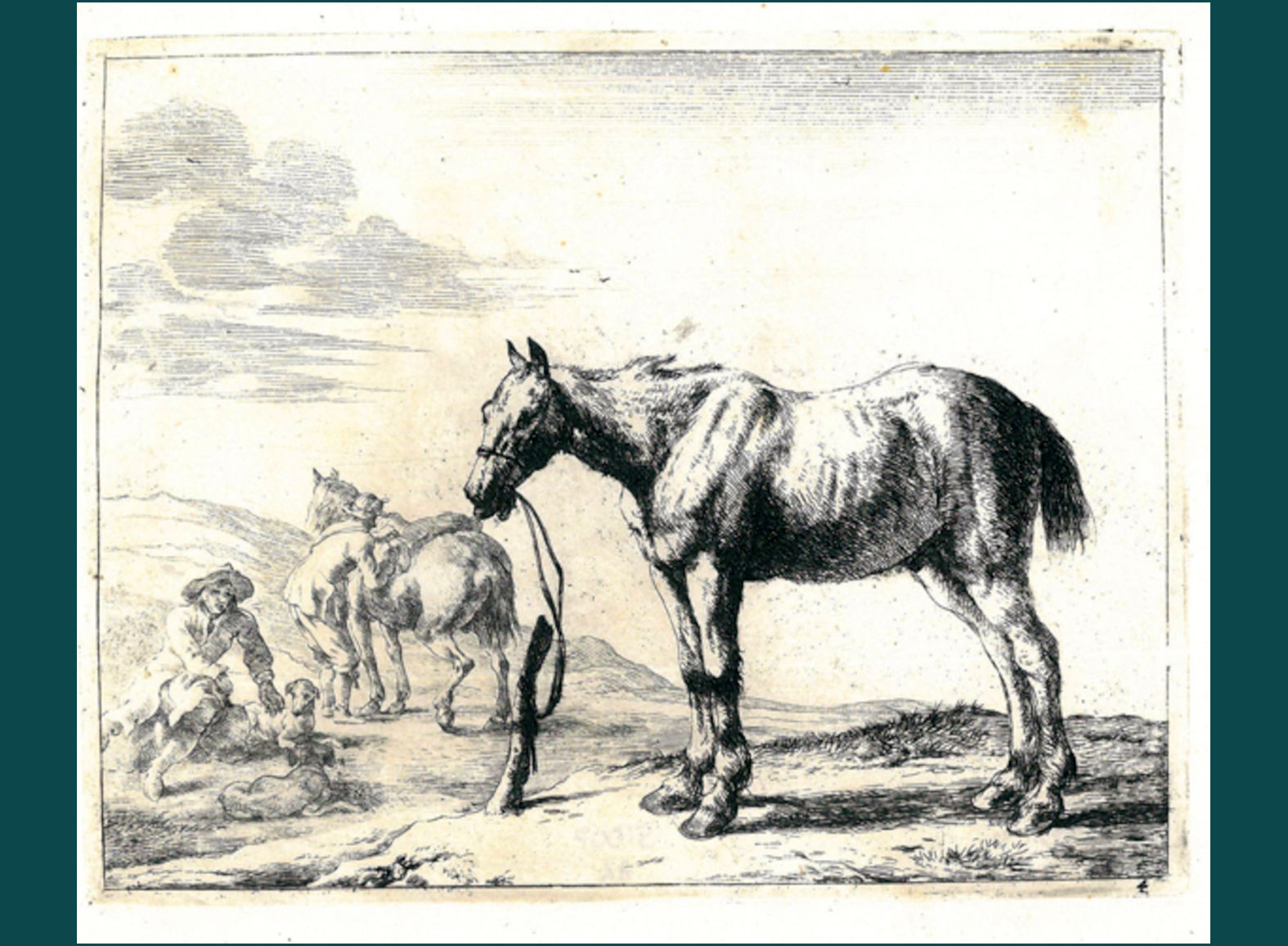 CAVALLO LEGATO
